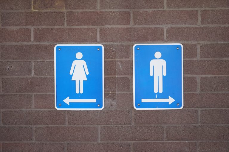 Honnan ered a modern WC és miért tartunk világnapot neki?