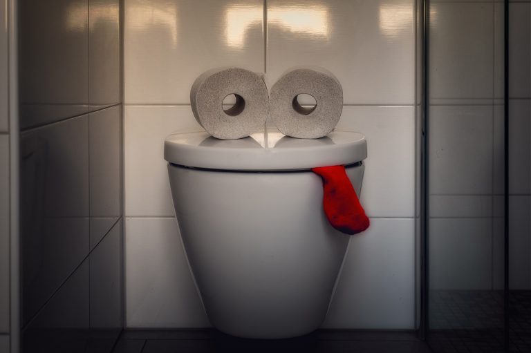 Hasznos tudnivalók a darálós vécékről