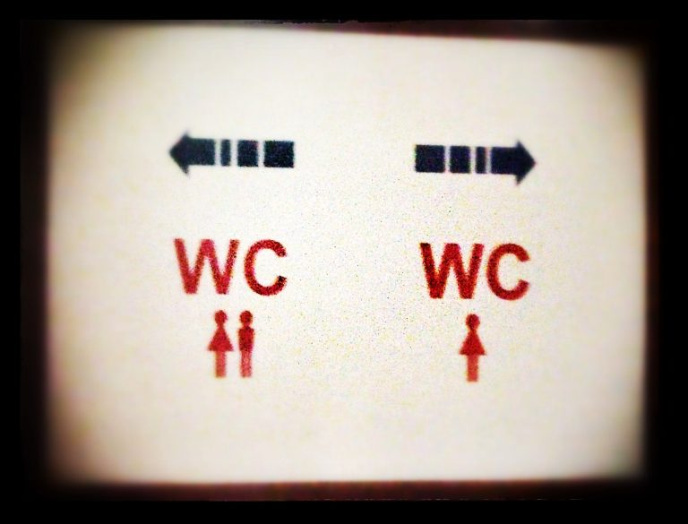Hogyan előzhető meg a WC eldugulása?