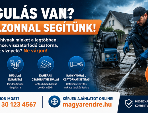 Vihar után hívnak minket a legtöbben – ilyen károkat okoz a nyári özönvíz